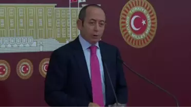 CHP'li Hamzaçebi: Çatı Adayı Gül Olamaz