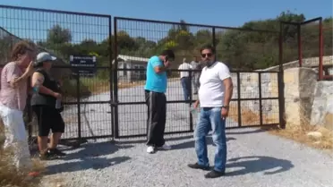 Kuşadası Belediyesi'nin Hayvan Hakları Ödülü Tehlikede