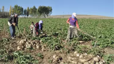 Türkiye-Endonezya İlişkileri Tarımla Güçleniyor