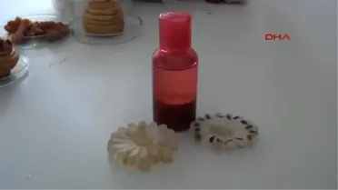 Amasya'da Çöp Kokusu Yerine Elma Kokusu