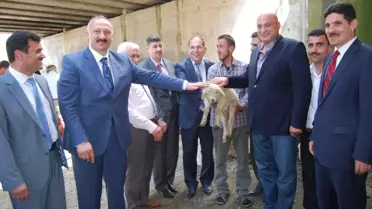 Süt Sığırcılığı ve Koyun Yetiştiriciliği' Projesi