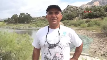 Bafa Gölü'ndeki Kirlilik Balıkçılardan Sonra Turizmcileri de Bitirdi