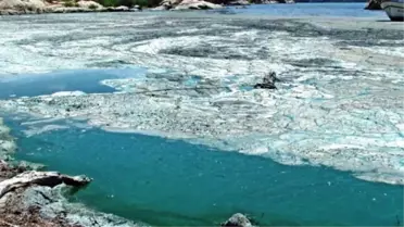 Bafa Gölü'ndeki Kirlilik Turizmcileri Bitirdi