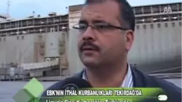 Ebk'nın İthal Kurbanlıkları Tekirdağ'da 27.10.2011