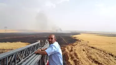 Şanlıurfa'da Bin 500 Dönümlük Ekili Alan Kül Oldu