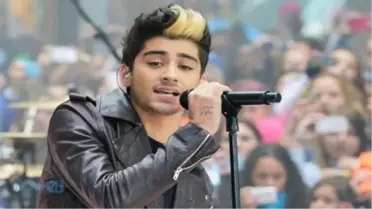 One Direction's Zayn Malik And Louis Tomlinson Roll Up In Video: 'Joint Lit, Happy Days!'