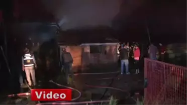 Kartepe'de 34 Hayvan Telef Olmaktan Son Anda Kurtarıldı