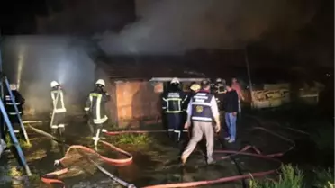 Kartepe'de 35 Hayvan Telef Olmaktan Kurtarıldı