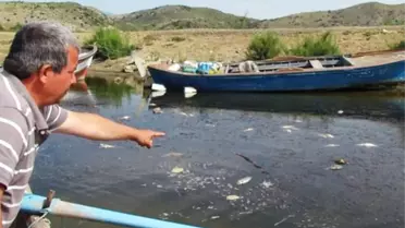 Bafa Gölünde İnceleme