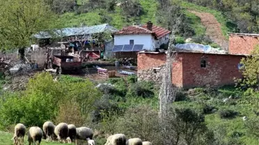 Aydınlı Üretici Yüzde 50'lik Hibe ile Aydınlandı