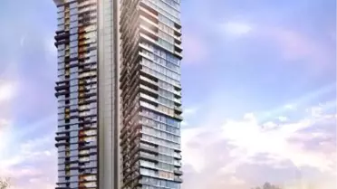 Bir Konut Projesiyle 50 Bin Ağaç Kurtaracaklar