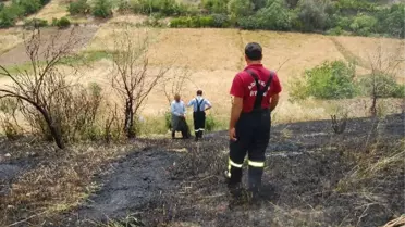 Otları Yakmak İsterken, Ekinleri Küle Çeviriyordu