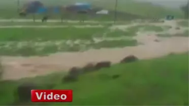 Ali'yi Bu Suların Altında Can Verdi