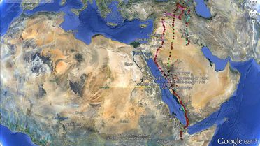 Akbabalar, 1 Yılda 50 Bin Kilometre Uçtu