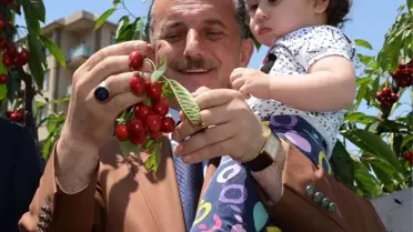 Kiraz Bahçesi'nde Piknik Sezonu Açıldı