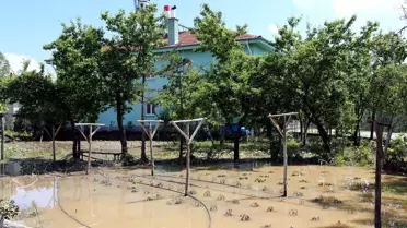 Selden Sonra Hasar Tespit Çalışları