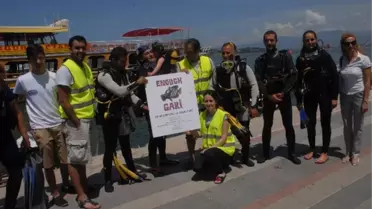 Fethiye'de Deniz Dibi Temizliği