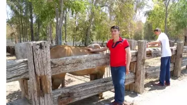 Hisarcık ÇPL Öğrencileri İzmir Hayvanat Bahçesinde