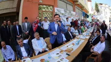 Anadolu Mahallesi Tok'u Bağrına Bastı