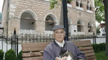 Kedileri Besleyerek Hayata Tutunuyor