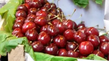 Dar Gelirli Ailelere İş İmkanı