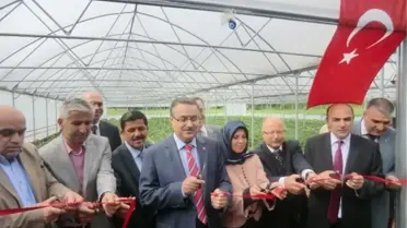 Düzce'de Tarımda Mayıs Ayı Dolu Dolu Geçti