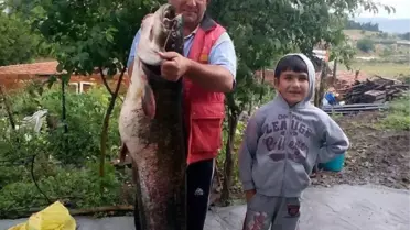 Derede Boyu Kadar Balık Yakaladı