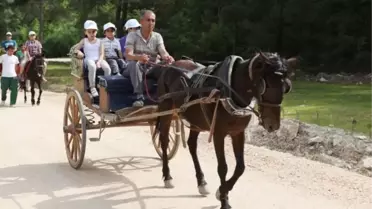 Geleceğin Rahvan At Binicileri Nilüfer'de Yetişiyor