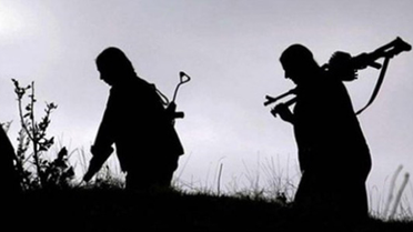 PKK Ağaç Kesen 7 Köylüyü Kaçırdı