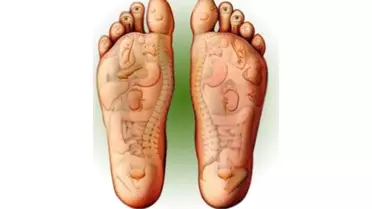 Beyindeki İşletim Sistemi ve Refleksoloji