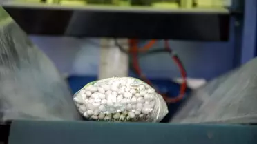 Artık Sahte İspir Fasulyesi Satamayacaklar