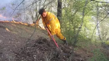 Ayvacık'taki Orman Yangını 4. Gününde