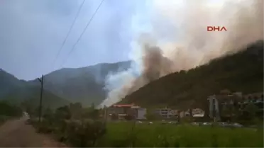 Adrasan Turizm Bölgesinde Orman Yangını