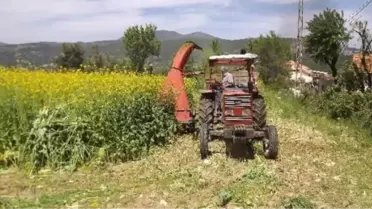 Biga'da 'Tarla Günü' Etkinliği
