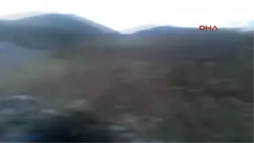 Kuyucak'ta Sokak Hayvanları Katlediliyor İddiası