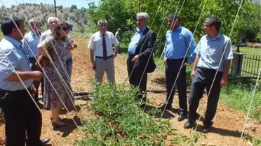 Pütürge'de Organik Tarım ve Sebzecilik Toplantısı
