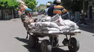 Araban Kaymakamlığı Bin 500 Aileye Kömür Yardımı Yaptı