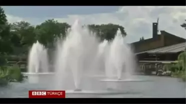 Başkanlık Konutundaki Evsiz Göçmenler