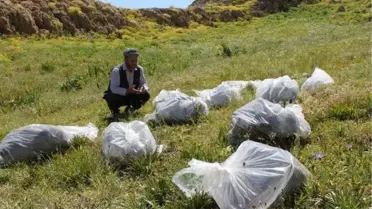Kato Dağı'nda 12 PKK'lının Gömüldüğü Toplu Mezar