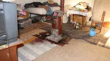 Çiftlikte Bakıcıyı Öldürüp, 200 Hayvanı Çaldılar
