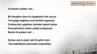 Bahattin Karakoç - Acelem Var!
