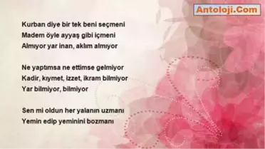 Erdal Koca - Aklım Almıyor