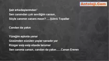 Halil Müftüoğlu - Aa Canımın Cananısın.