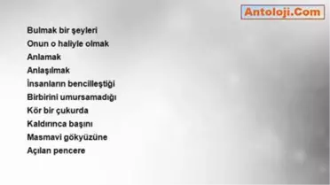 Ünal Kar - Anlamak Anlaşılmak