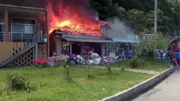 Hopa'da İş Yeri Yangını
