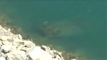 Alakır Barajı'na Devrilen Araç Çalıntı Çıktı