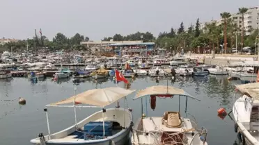 Mersin İkk: 'Barınak Sorununa Mersinli Aktörler Dahil Edilmeli'