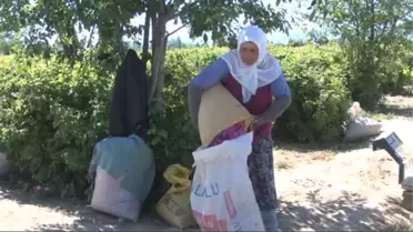 Piyasadaki gül suyunun yüzde 80'i sentetik -