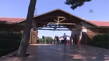İzmir'de Vahşi Hayvanların Su Keyfi
