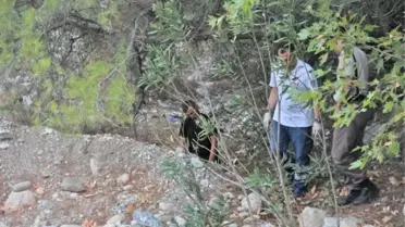 Genç Turizmci Ağaçta Asılı Bulundu